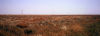 Bleak Outback.