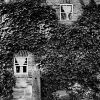 Captain Cook's windows.