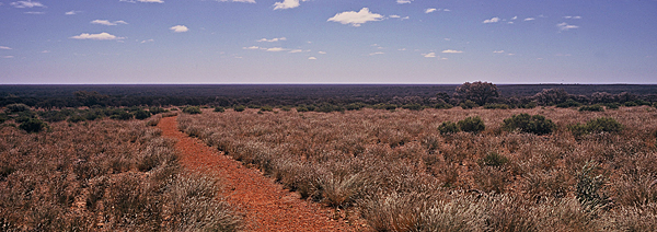 Road to Nowhere.