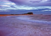 Nobby's Beach