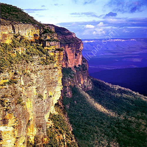 Blue Mountains.