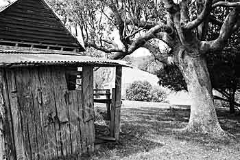 Bushman's Hut