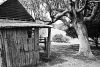 Bushman's Hut