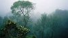 Misty Ranges