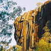 "Organ Pipes" of Mt. Kaputar's Sawn Rocks.