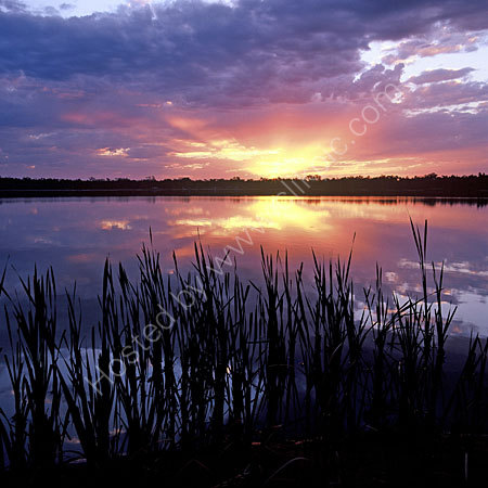 Sunset on the Reeds.