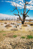 Lake Menindee After Three Years of Drought.