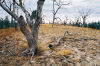 Harsh Landscape.