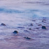 Milky Rocks.
