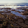Newcastle's Rocks.