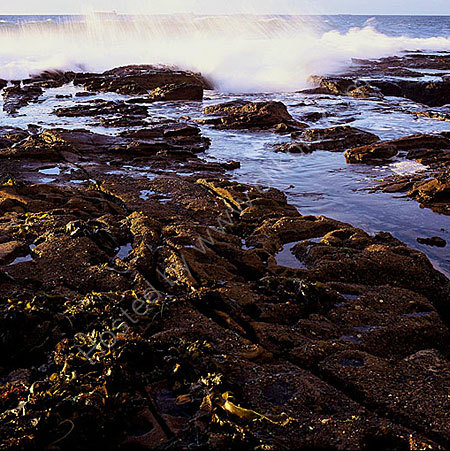 <strong>Golden Rocks</strong>