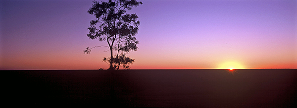 Sunset at Lightning Ridge.