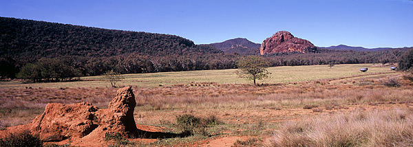 Pointer to the Warrumbungles.