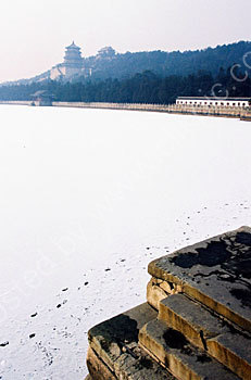 Cold Summer Palace