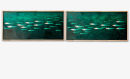 Herring Diptych