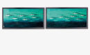 Mackerel Diptych