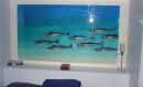 Mackerel Pallet 