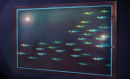 Mackerel Shoal 1