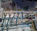 Workshop mackerel