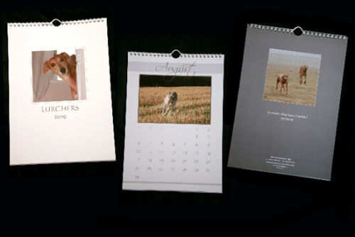 Lurchers 2009 Calendar