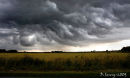 Turbulent Gust front 