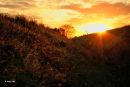 Sunset from a fen drain