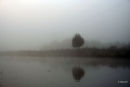 Fog on the river nene