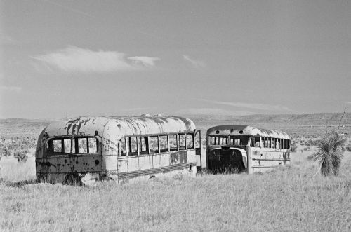school buses