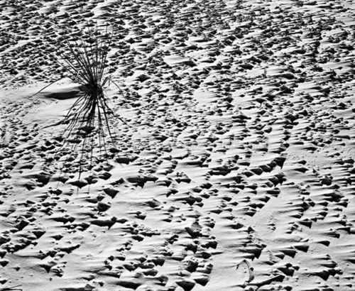 Sand and Wind