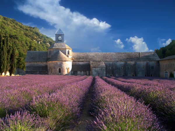 SENANQUE ABBEY - WINNER OF 2009-10 DIGITAL IMAGE COMPETITION 1