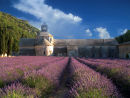 SENANQUE ABBEY - WINNER OF 2009-10 DIGITAL IMAGE COMPETITION 1
