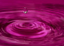 A Splash of Pink