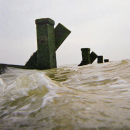2010-11 DPI 2 ADVANCED WINNER - SEA LEVEL