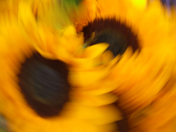 Sunswirl