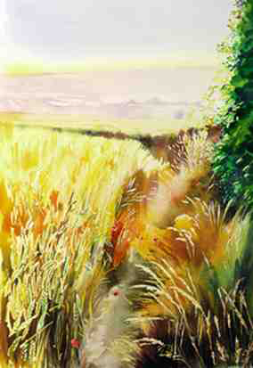Pilgrims Way