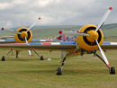 Red Bull Sukhoi SU-26M2  G-IIIS & G-IIIZ