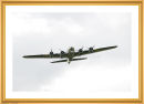Liberty belle B17 (front ).