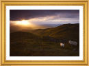 Longest day dawn 2