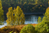 Autumn in Affric