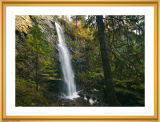 Plodda Falls.