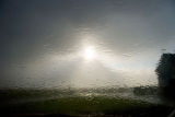 Rainy day