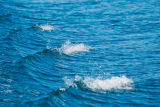 waves 2
