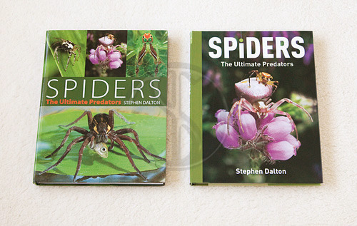 SPIDERS The Ultimate Predators