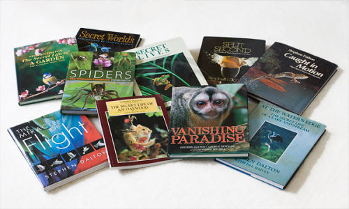 A selection of Stephen