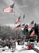 War Veterans Cemetery 