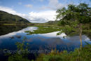Ladies View, near Killarney, Ring of Kerry, Ireland 