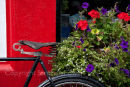 Deatail, Knightstown Cafe, Valentia Island, Co. Keryy, Ireland 
