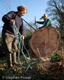 Tree Fellers, Co. Limerick