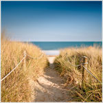 Dune Walk