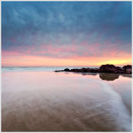 Purple Shores
